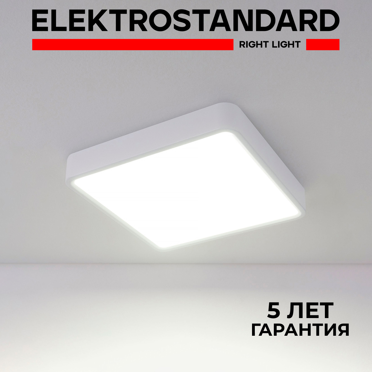 Накладной потолочный светодиодный светильник Elektrostandard Fitta DLS034 18W 4200K белый