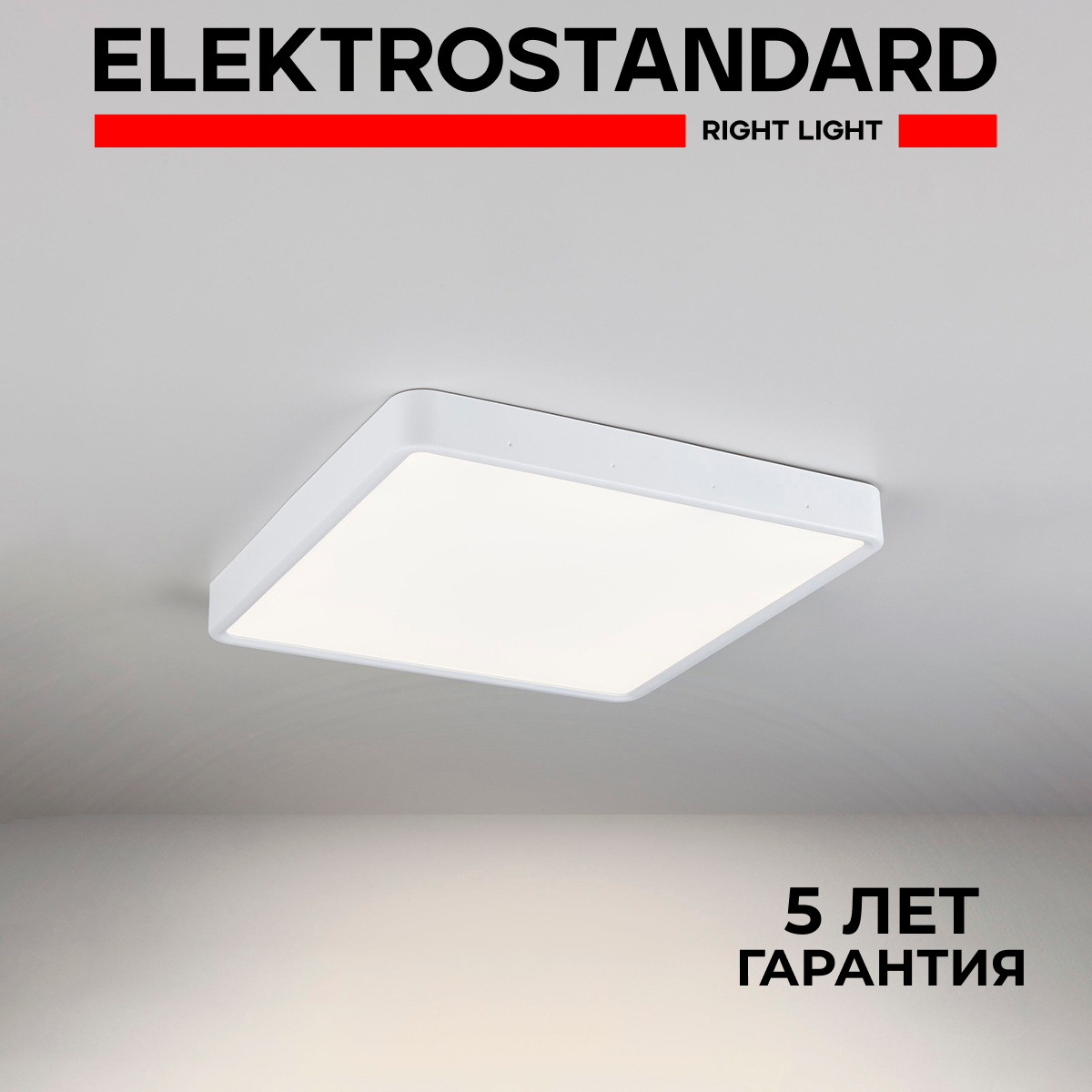 Накладной потолочный светодиодный светильник DLS034 24W 4200K Elektrostandard