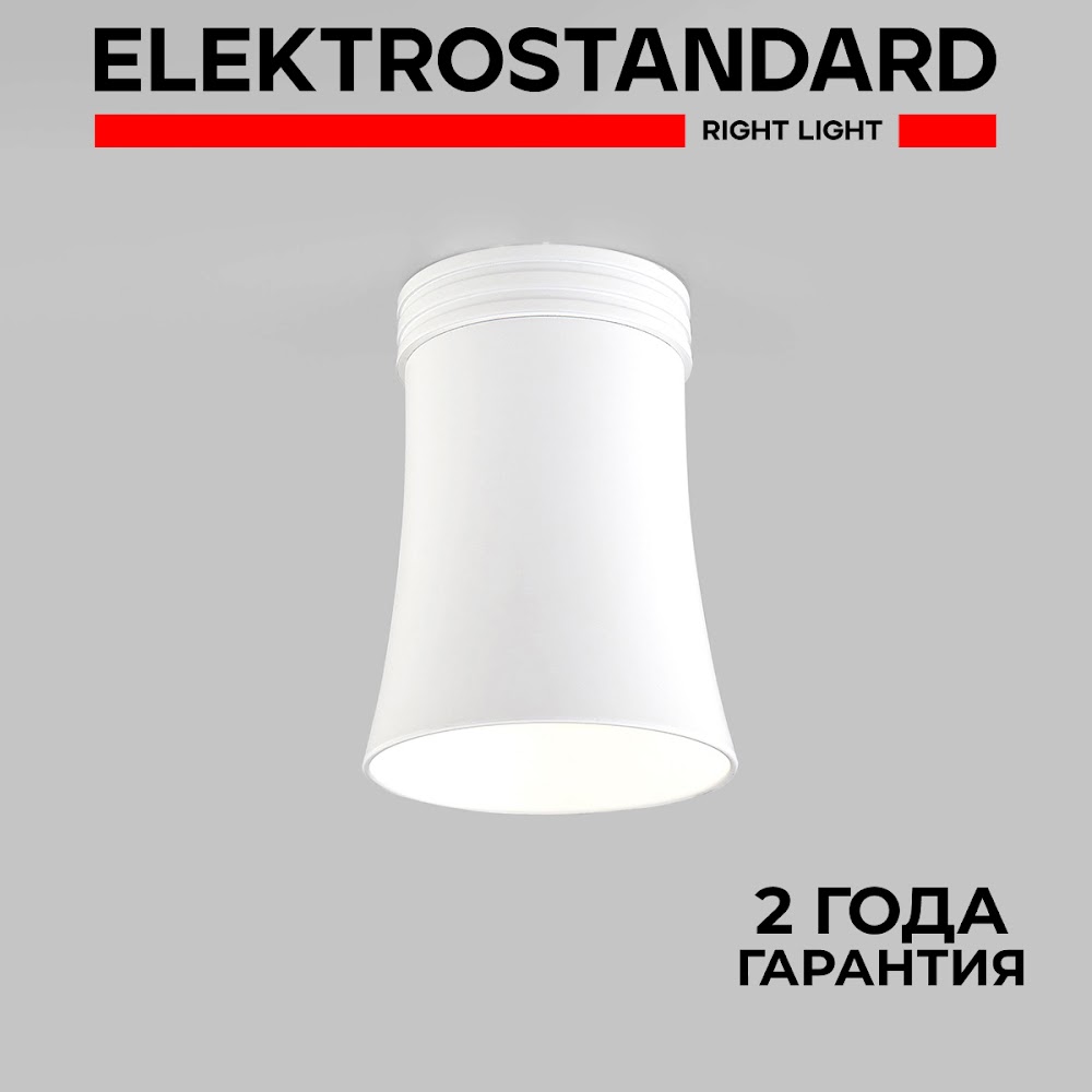 

Накладной потолочный точечный светильник Elektrostandard Vetro DLN100 WH GU10 белый