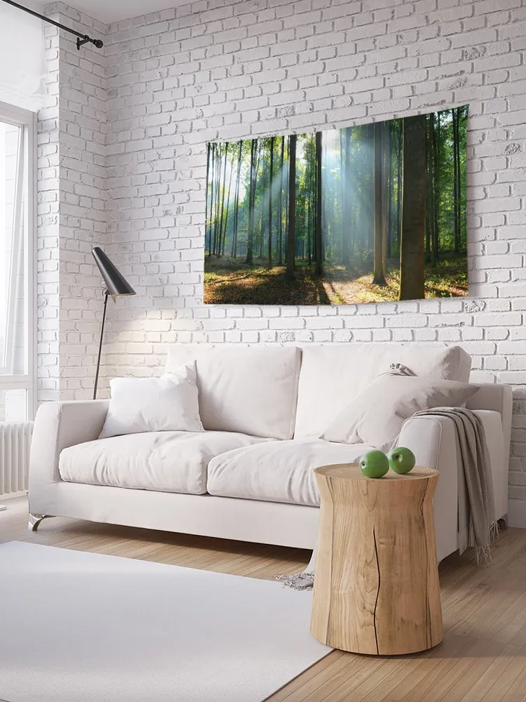 

tpg_14622_90x145 Панно с фотопечатью