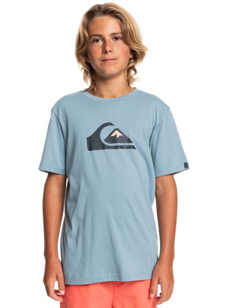 

Детская Футболка Quiksilver Comp Logo, Comp Logo