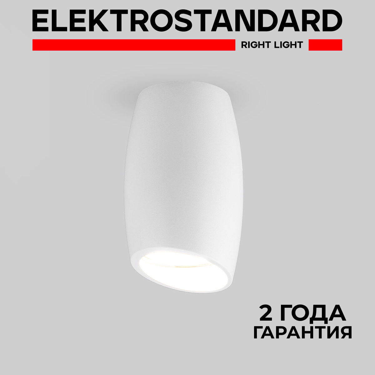 

Накладной потолочный светильник DLN002 MR16 WH белый Elektrostandard