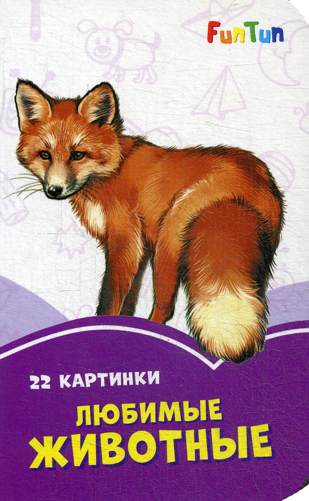 

Любимые животные