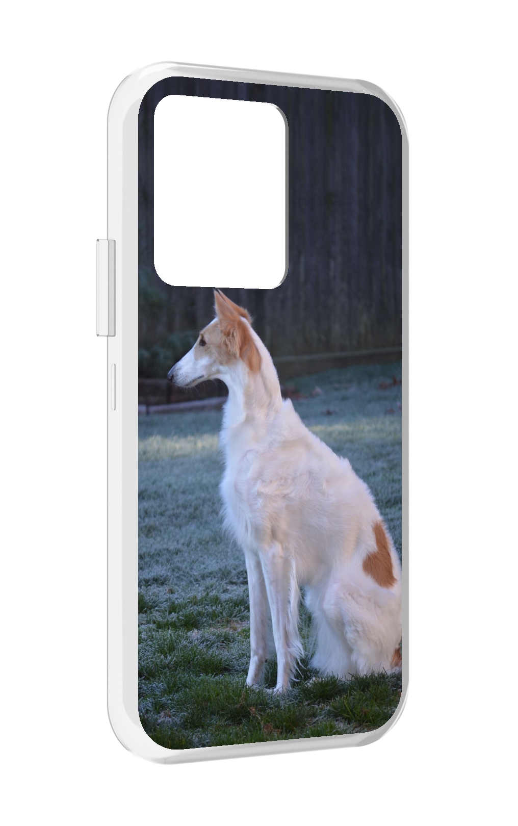 

Чехол MyPads русская псовая борзая для Vivo iQOO 10, Прозрачный, Tocco
