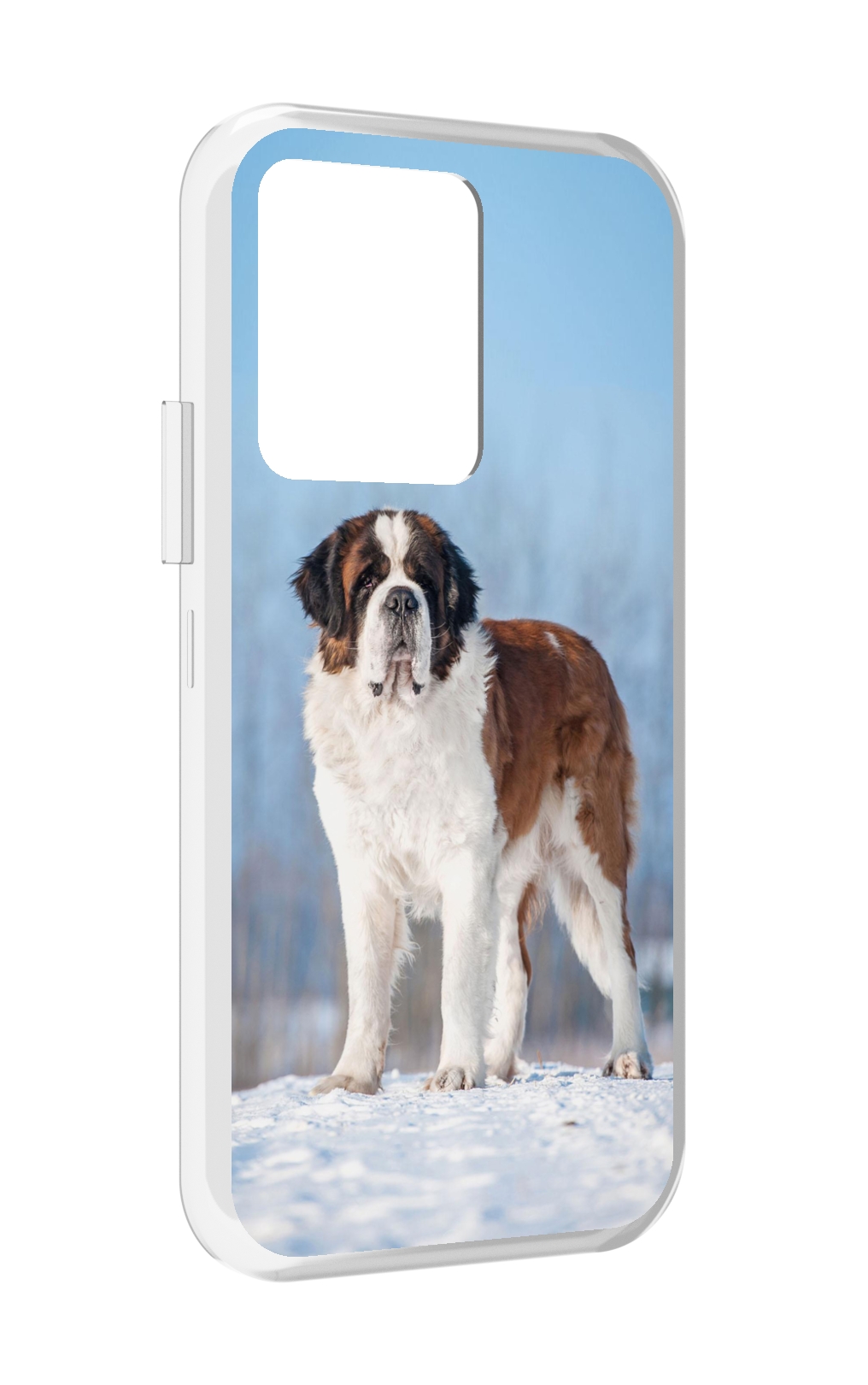 

Чехол MyPads сенбернар для Vivo iQOO 10, Прозрачный, Tocco