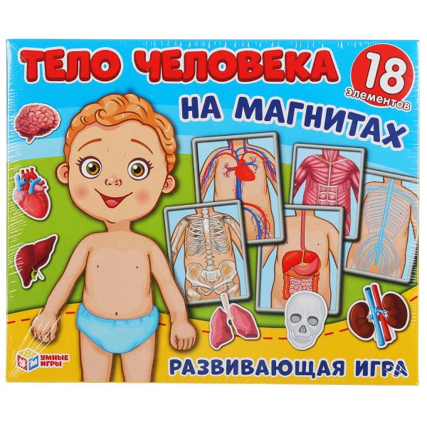 

ИГРА-ОДЕВАЙКА НА МАГНИТАХ УМНЫЕ ИГРЫ ОДЕНЬ КУКЛУ ТЕЛО ЧЕЛОВЕКА 240Х200Х60 ММ