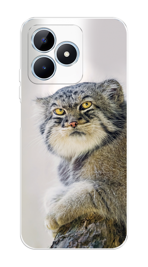 

Чехол на Realme C60 "Кот манул 1", 2516550-1
