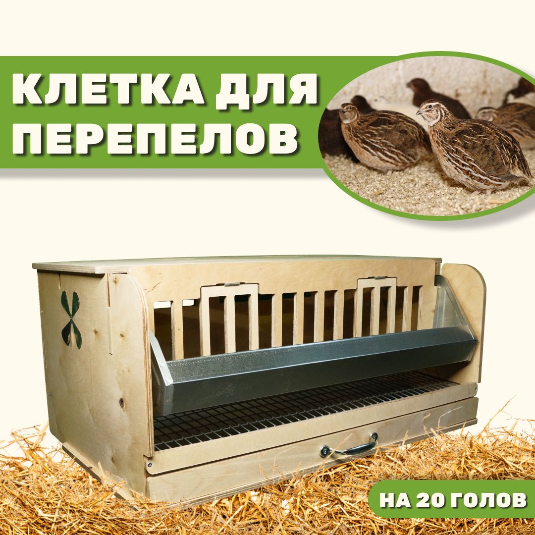 Клетка для перепелов Сельский дворик 20 голов, бежевый, фанера, 33x67,5x30 см