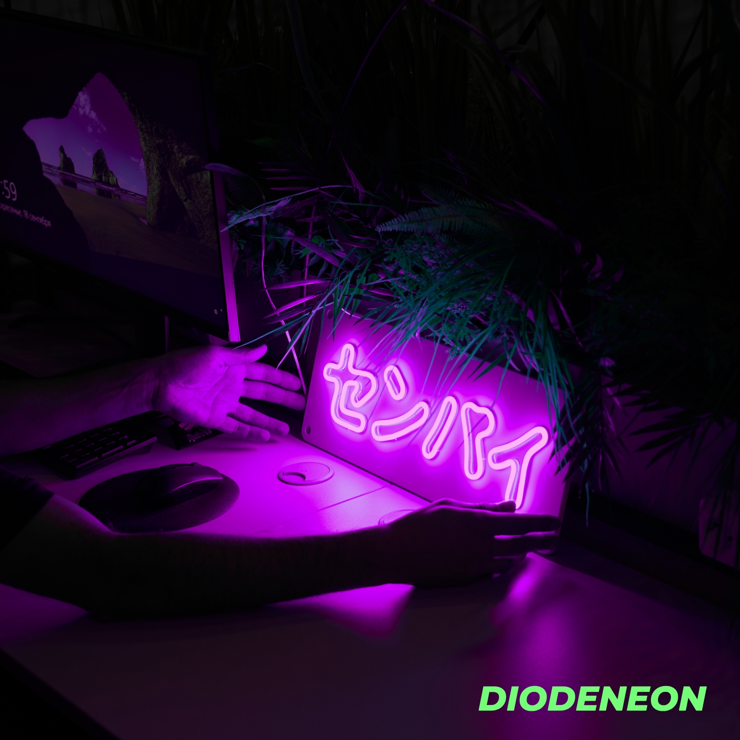 Неоновый LED светильник DIODENEON Азиатский стиль