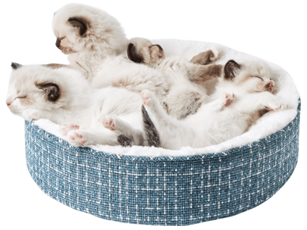 

Лежанка для кошки Petkit Deep Seep Cat Bed P7107, полиэстер, пенополиуретан, 50x50x10см