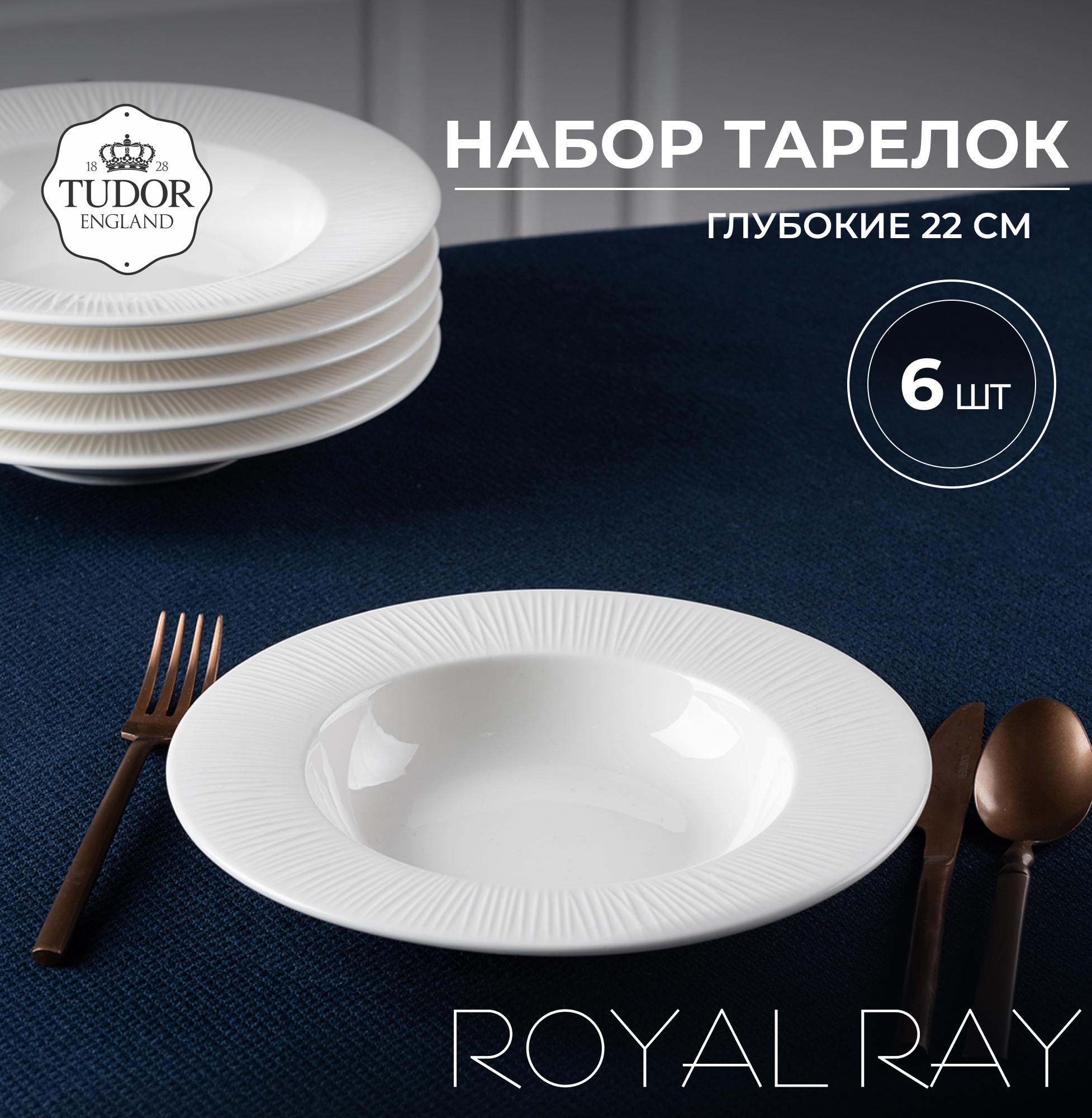 Набор обеденных глубоких тарелок Tudor England TU3080 Box Royal Ray 6шт, 22 см