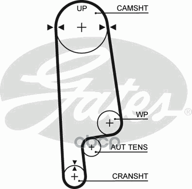 

Ремень грм honda accord,shuttle,prelude 2.0-2.3l 90-02 113з.