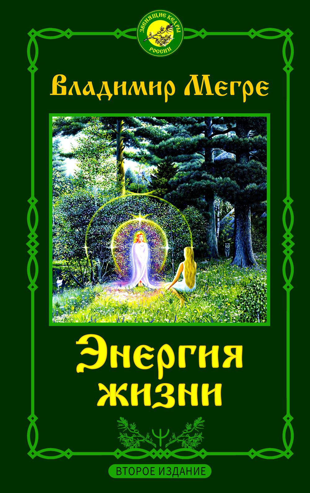

Книга Энергия жизни