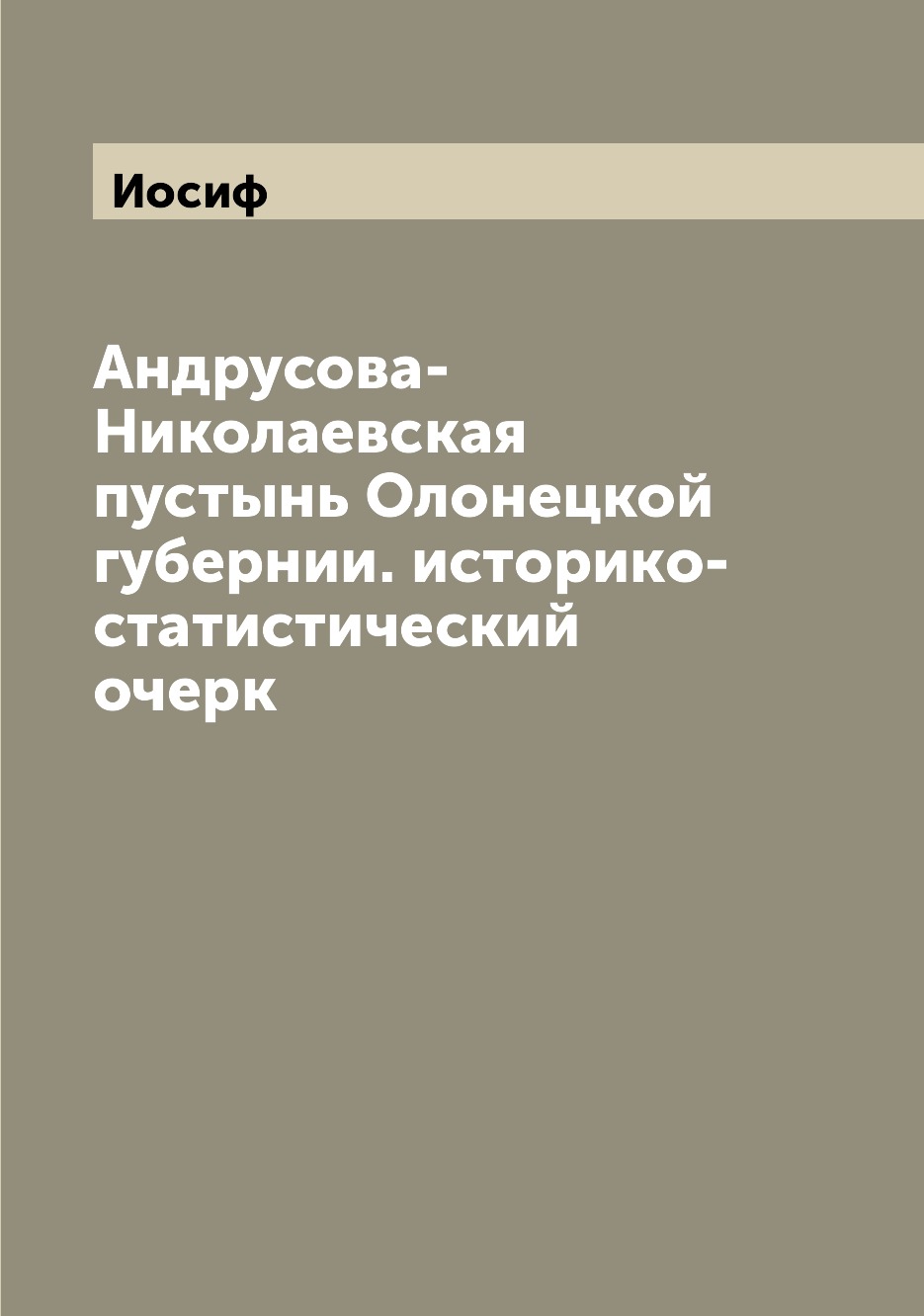 Книга Андрусова-Николаевская пустынь Олонецкой губернии. историко-статистический очерк