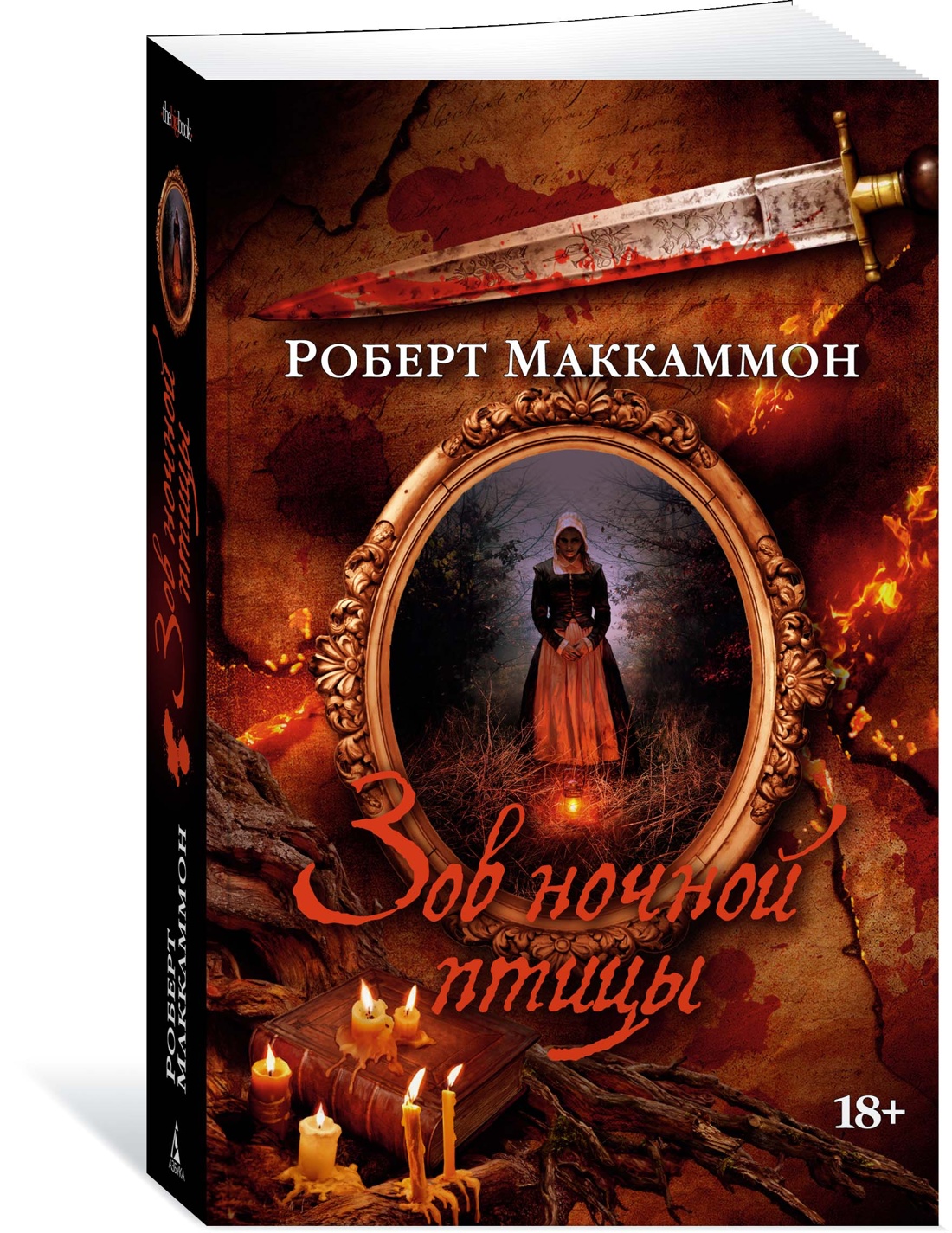

Зов ночной птицы