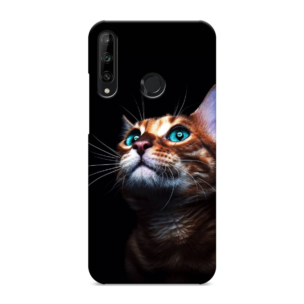 

Чехол Awog "Мечтательный кот" для Honor 9C, 612520-1