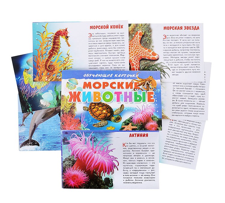 

Морские животные. Обучающие карточки