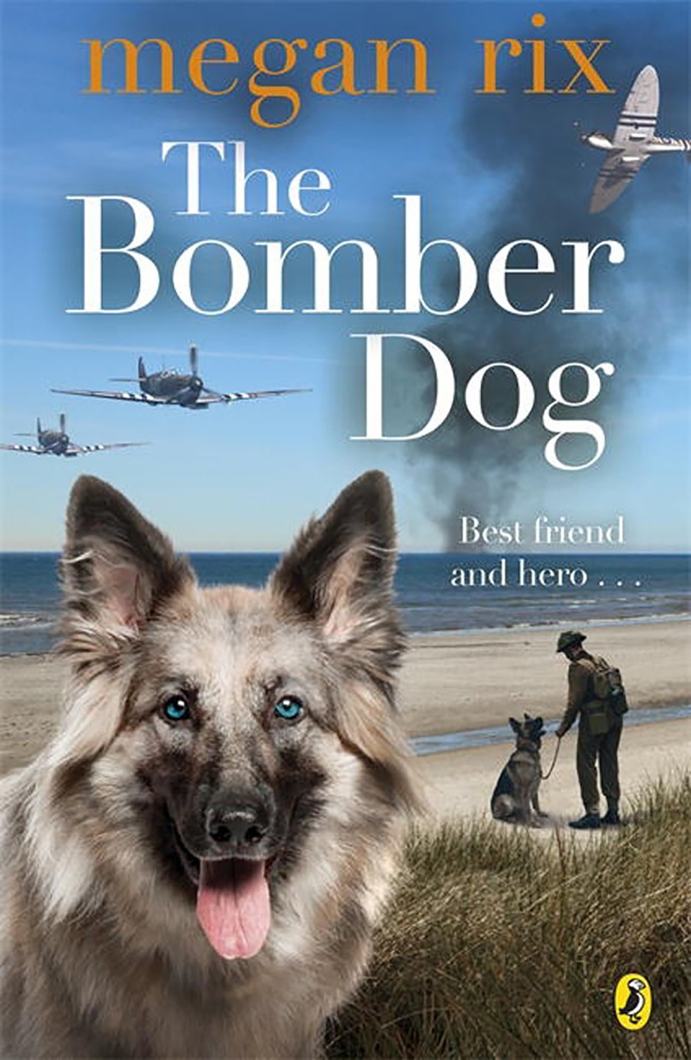

The Bomber Dog