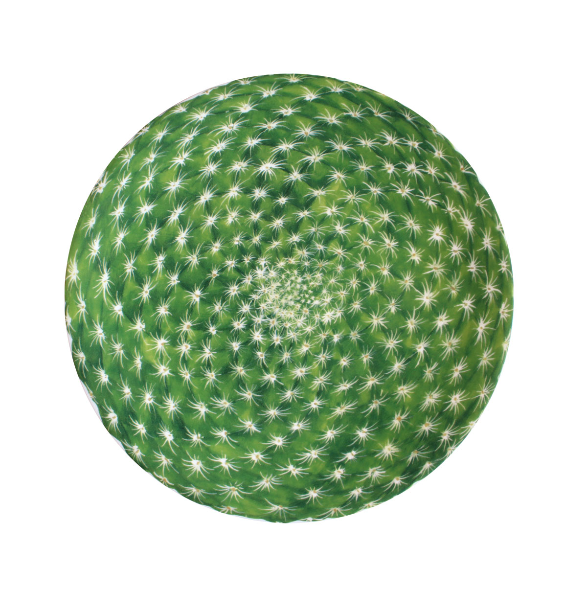 

Десертная тарелка Taitu 23 см Cactus зеленая, Белый;зеленый, Cactus