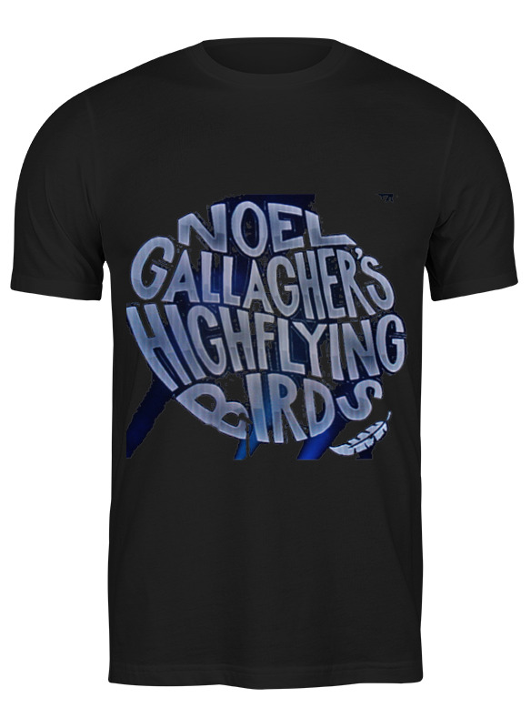 

Футболка мужская Printio Noel gallagher's high flying birds черная 2XL, Черный, Noel gallagher's high flying birds