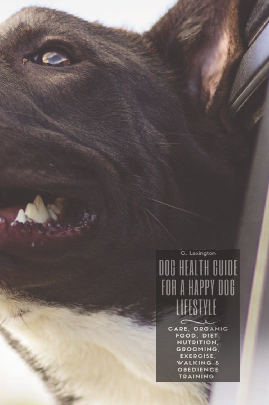 

Dog Healthy Guide For A Happy Dog Lifestyle