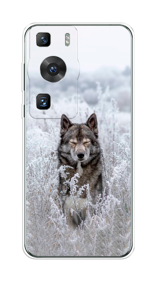 

Чехол Awog на Huawei P60/P60 Pro "Волк в поле", Белый;черный, 6121050-1