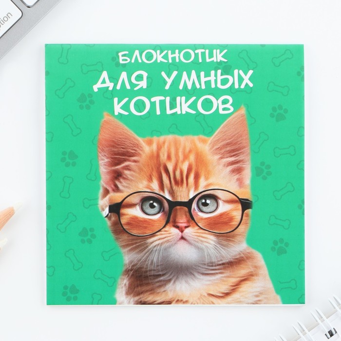 

Блокнот ArtFox, Котик 9779069 16 листов, 20 шт