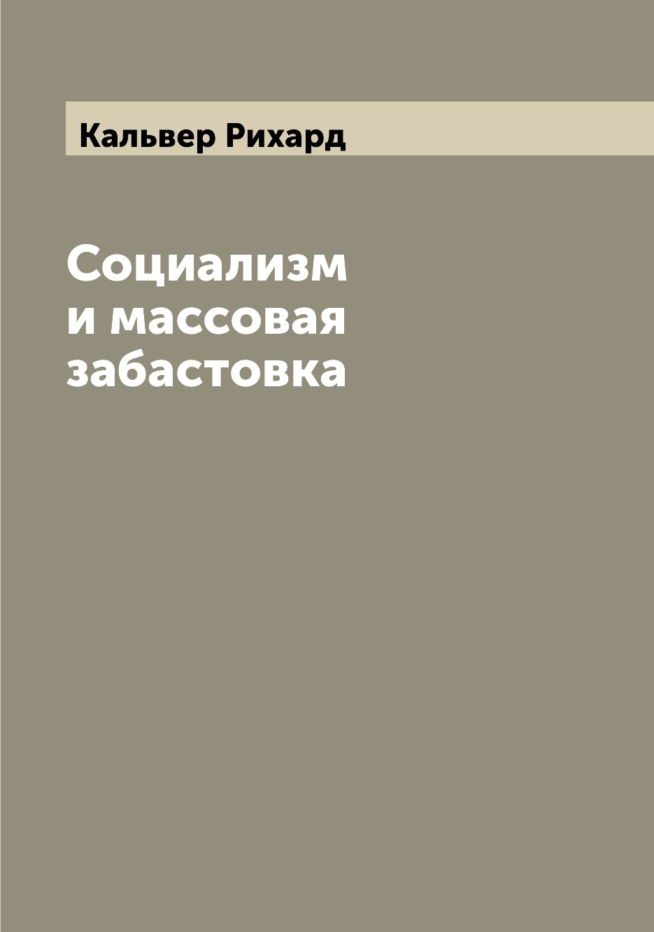 

Книга Социализм и массовая забастовка