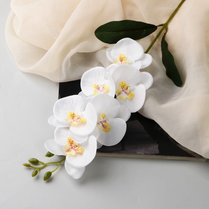 

Poetry in flowers Цветы искусственные Орхидея фаленопсис премиум, 7х55 см, белый