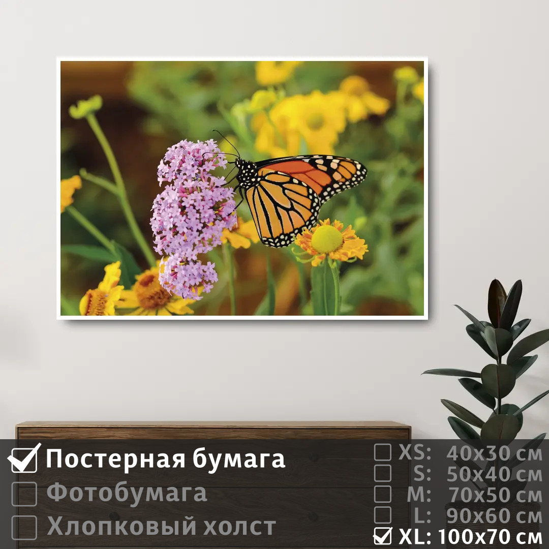 

Постер на стену ПолиЦентр Бабочка на полевых сиреневых цветах 100х70 см, БабочкаНаПолевыхСиреневыхЦветах1