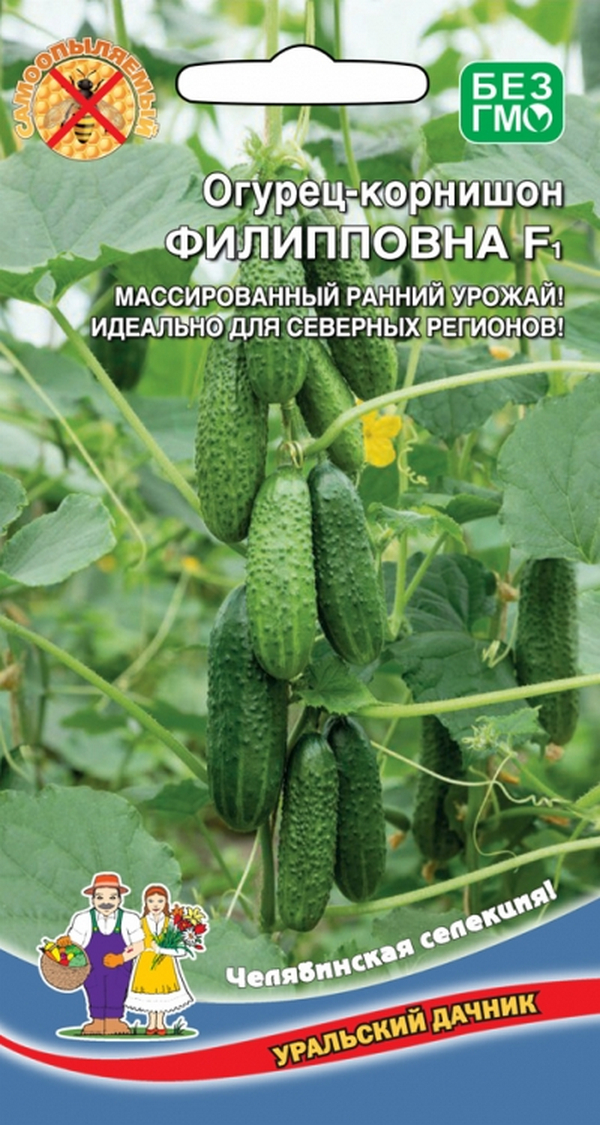 

Семена огурец Уральский дачник Филипповна F1 23274 1 уп.