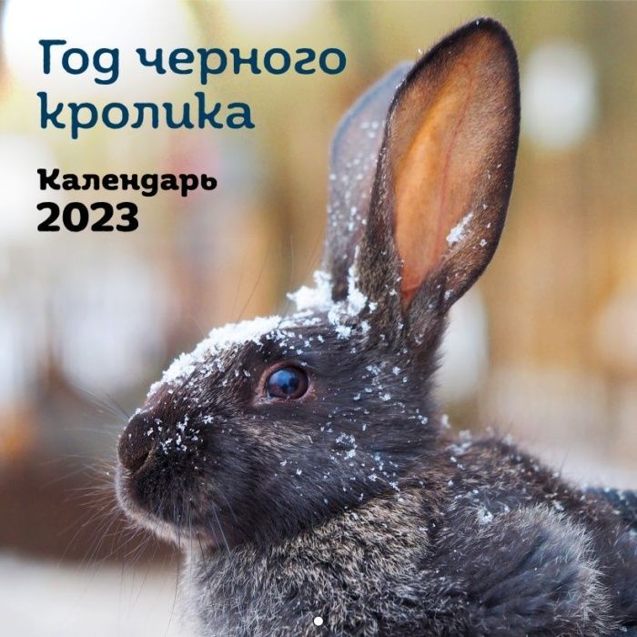 

Год черного кролика. Календарь настенный на 2023 год (300х300)