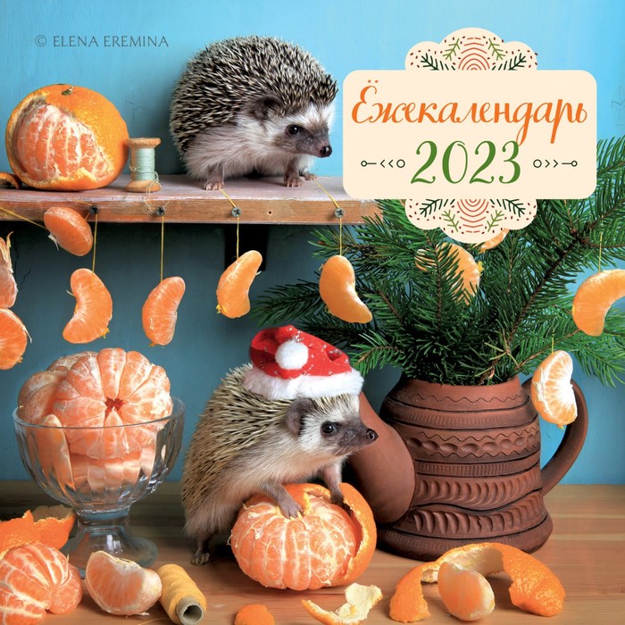 

Календарь настенный «Ёжекалендарь» 2023 год, 17х17 см. Еремина Е.П.