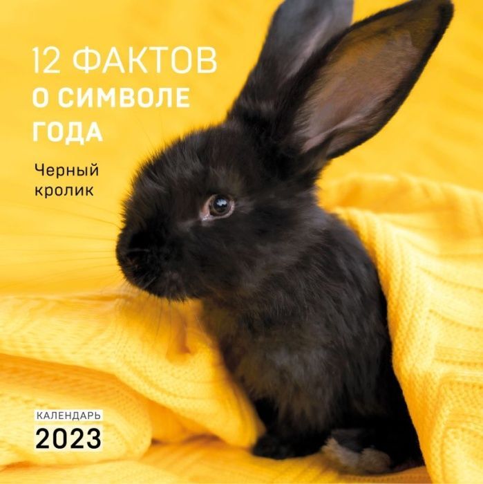 

12 фактов о символе года. Черный кролик. Календарь настенный на 2023 год (300х300)