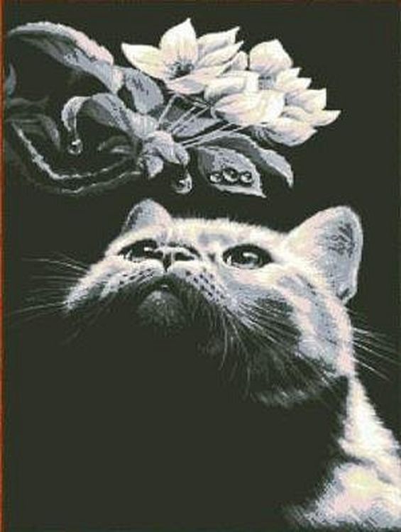 

Рисунок на ткани «Кот»