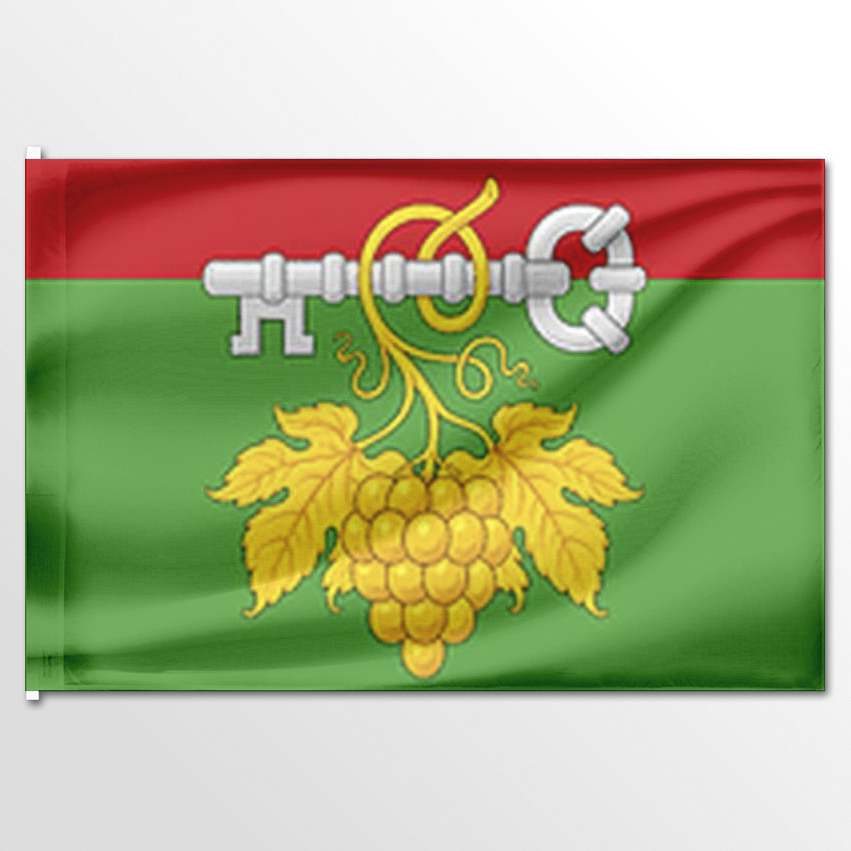

Флаг ЦТП ФЕНИКС Петровского сельского поселения 135x90 см, 7544-135x90