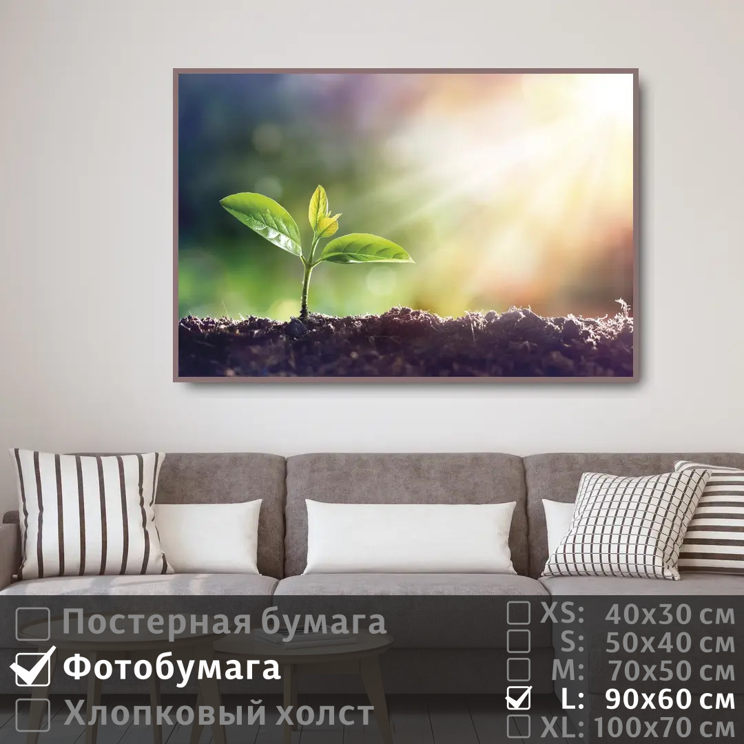 

Постер на фотобумаге ПолиЦентр Лучи на нежной зелени 90х60 см, ЛучиНаНежнойЗелени