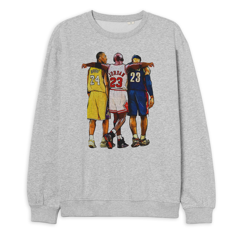 

Свитшот женский Dream Shirts 273-baskl-swi-1 серый 48 RU, 273-baskl-swi-1