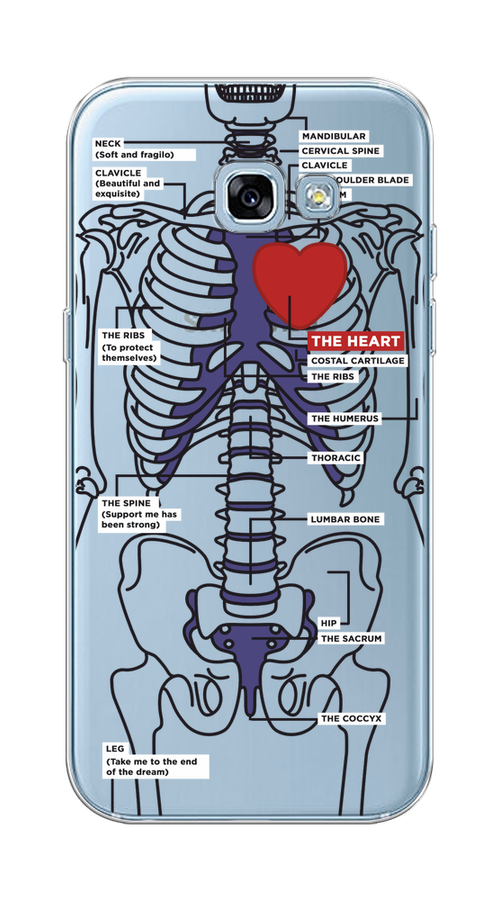 

Чехол на Samsung Galaxy A5 2017 "Скелет человека", Прозрачный;синий;красный, 20650-1