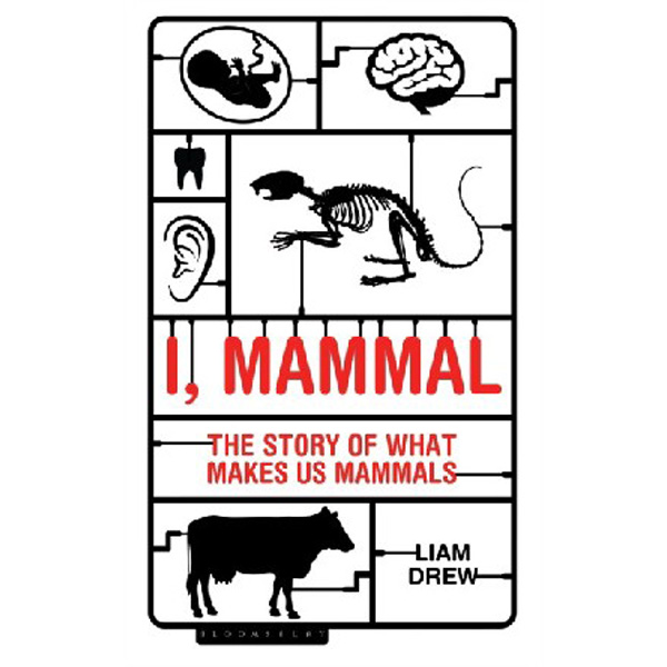 

I, Mammal: The Story of What Makes Us Mammals / Drew Liam