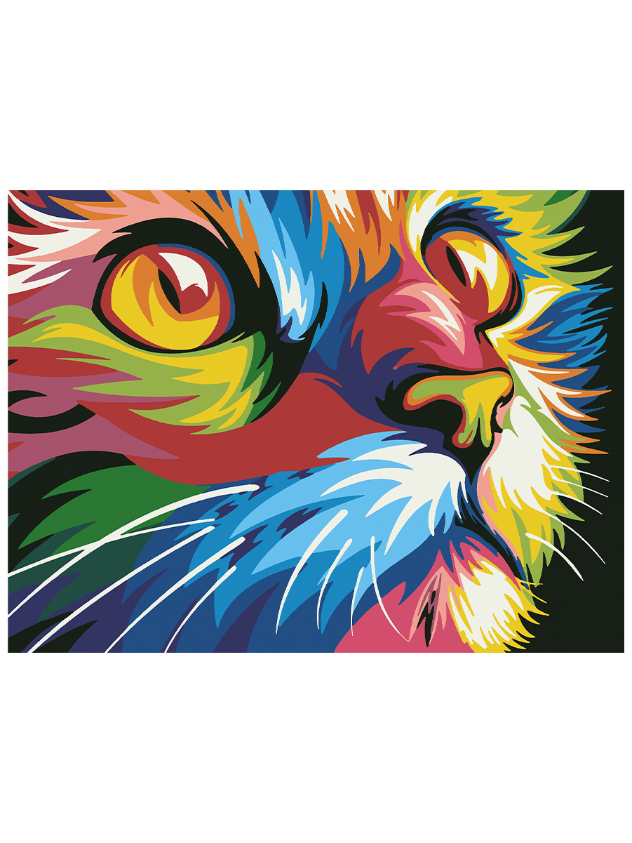 

Картина по номерам 30х40 см, "Радужный котик"