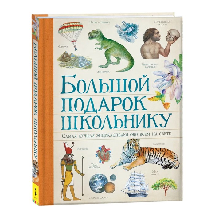

Большой подарок школьнику