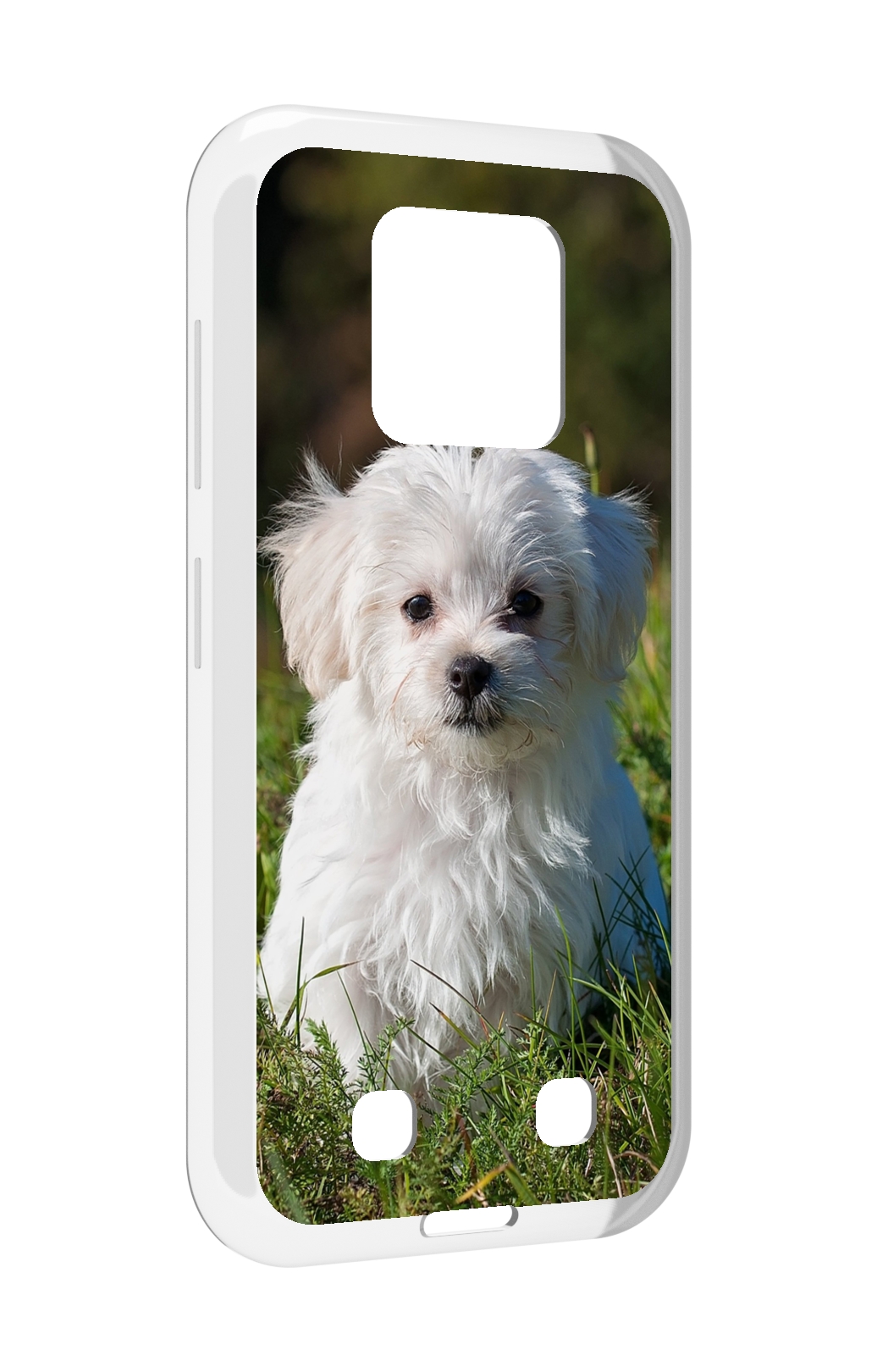 

Чехол MyPads мальтииская-болонка для Oukitel WP18, Прозрачный, Tocco