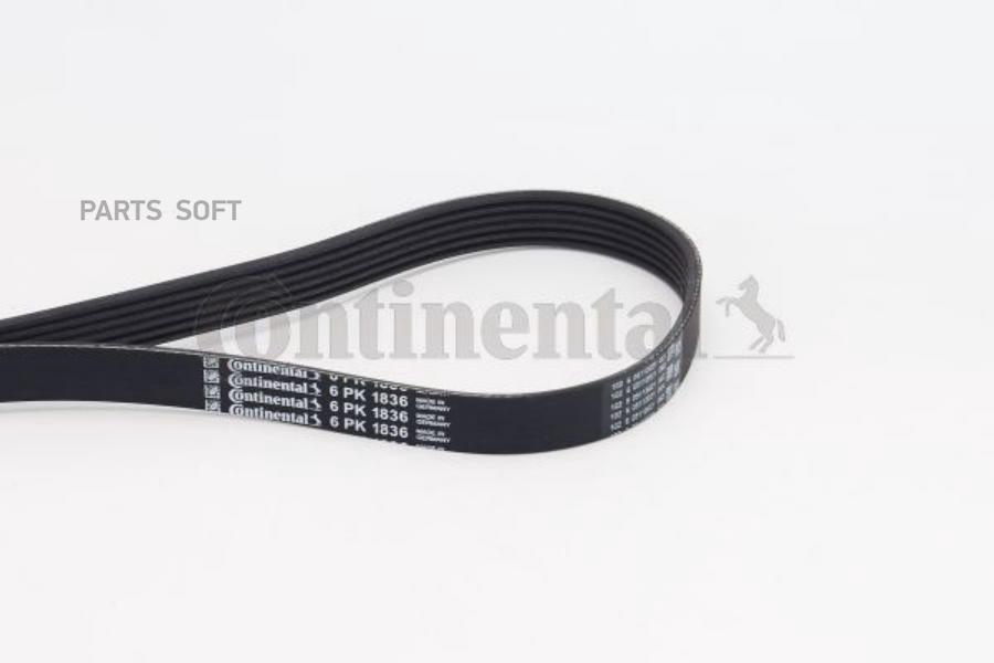 

Ремень поликлиновой Continental 6PK1836