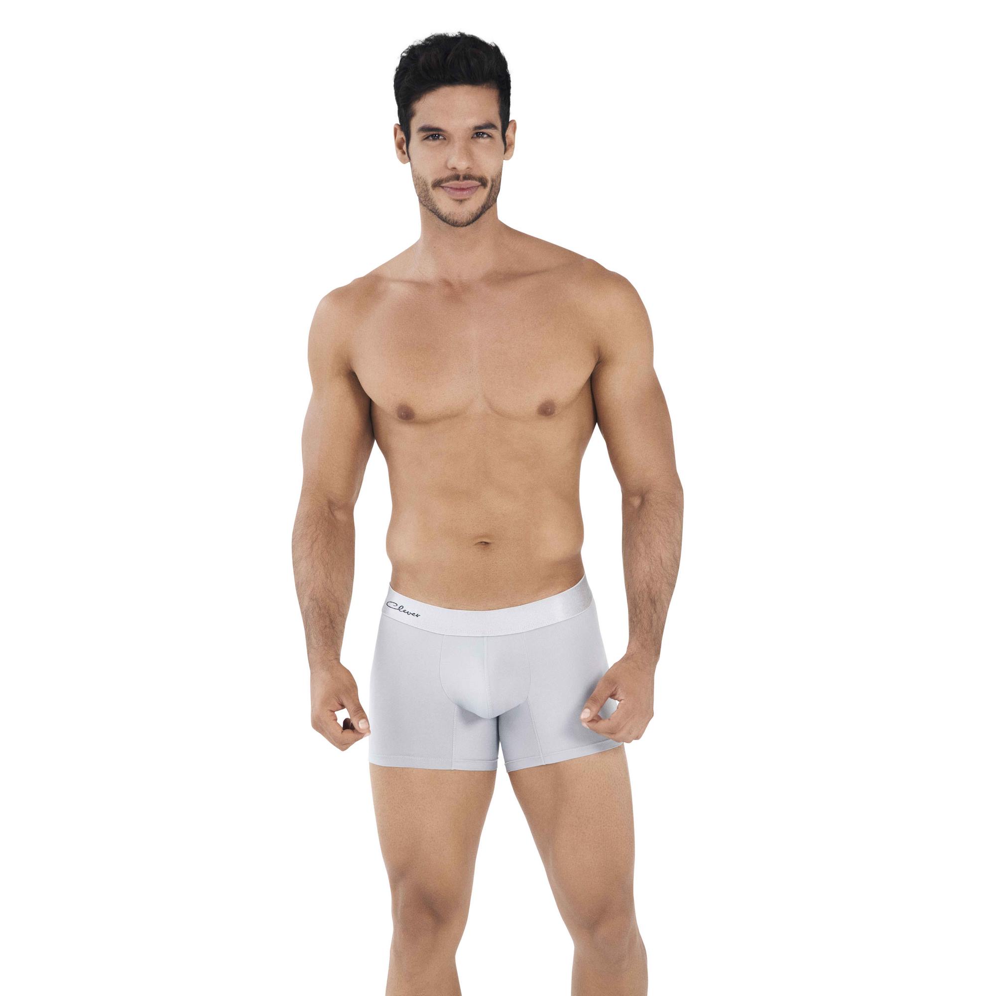 Трусы мужские Clever Masculine Underwear 0318 серые L