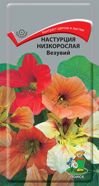 

Семена настурция Поиск Везувий 390237 1 уп.