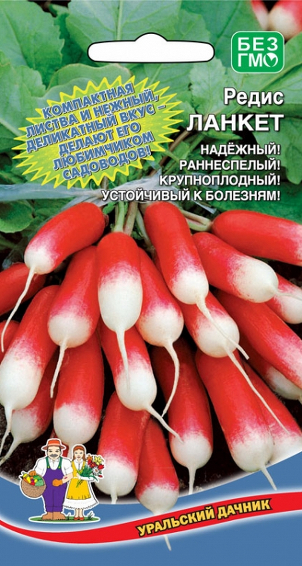 

Семена редис Уральский дачник Ланкет 23301 1 уп.