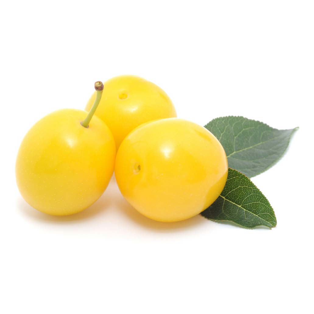 

Слива желтая