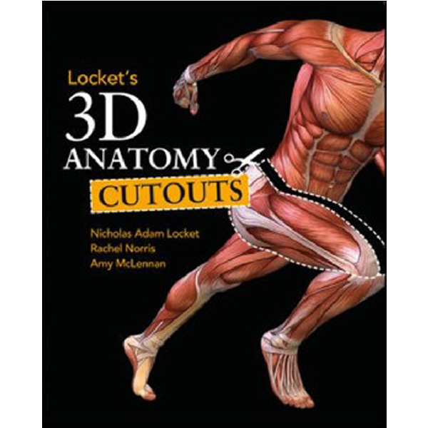 

Lockets 3D Anatomy Cutouts / Locket