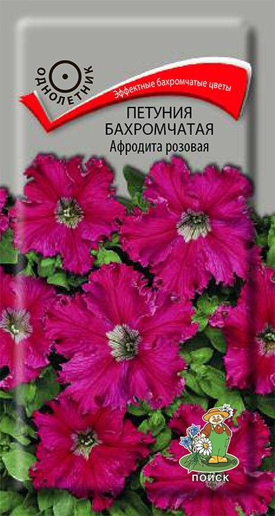 

Семена цветов петуния Афродита розовая Поиск 720492 4 г 1 уп.